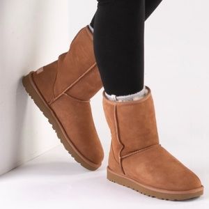 UGG Boots - Classic Short II